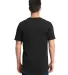 Next Level 3602 Cotton Long Body Crew in Black back view
