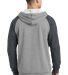 District DT196    Young Mens Lightweight Fleece Ra H Gry/H Char back view