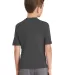 Port & Company PC381Y Youth Performance Blend Tee Charcoal back view