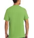 Port & Company PC61PT Tall Essential Pocket Tee in Lime back view
