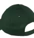 Port & Company YCP80 - Youth Six-Panel Twill Cap Hunter back view