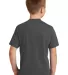 Port & Company PC450Y Youth Fan Favorite Tee Charcoal back view