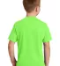 Port & Company PC450Y Youth Fan Favorite Tee Flash Green back view