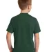 Port & Company PC450Y Youth Fan Favorite Tee Forest Green back view