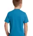 Port & Company PC450Y Youth Fan Favorite Tee Sapphire back view