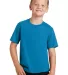 Port & Company PC450Y Youth Fan Favorite Tee Sapphire front view