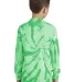 Port & Company PC147YLS Youth Tie-Dye Long Sleeve  Kelly back view