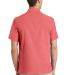 Port Authority S662    Textured Camp Shirt in Deep coral back view