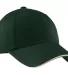 Port Authority C830A    Sandwich Bill Cap with Str in Hunter/stone front view