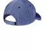 Port Authority C923    Two-Color Mesh Back Cap Royal/White back view