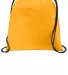 Port Authority BG615    Ultra-Core Cinch Pack Gold front view