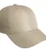 Port Authority C821    Perforated Cap Stone front view