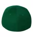 Flexfit 6533 Ultrafiber Mesh Cap in Green back view