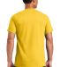 Gildan 2000 Wholesale Ultra Cotton Plain T-Shirt G in Daisy back view