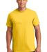 Gildan 2000 Wholesale Ultra Cotton Plain T-Shirt G in Daisy front view