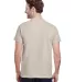 Gildan 2000 Ultra Cotton T-Shirt G200 in Sand back view