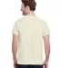 Gildan 2000 Ultra Cotton T-Shirt G200 in Natural back view