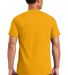 Gildan 2000 Wholesale Ultra Cotton Plain T-Shirt G in Gold