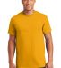 Gildan 2000 Wholesale Ultra Cotton Plain T-Shirt G in Gold