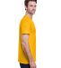 Gildan 2000 Wholesale Ultra Cotton Plain T-Shirt G in Gold