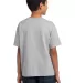 3931B Fruit of the Loom Youth 5.6 oz. Heavy Cotton Athletic Heather back view