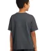 3931B Fruit of the Loom Youth 5.6 oz. Heavy Cotton Black Heather back view