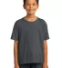 3931B Fruit of the Loom Youth 5.6 oz. Heavy Cotton Black Heather front view