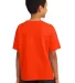 3931B Fruit of the Loom Youth 5.6 oz. Heavy Cotton Burnt Orange back view