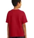 3931B Fruit of the Loom Youth 5.6 oz. Heavy Cotton True Red back view
