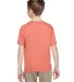 3931B Fruit of the Loom Youth 5.6 oz. Heavy Cotton Retro Heather Coral back view