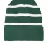 Sport Tek STC31 Sport-Tek Striped Beanie with Soli in Forest grn/wht front view