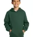 Sport Tek YST254 Sport-Tek Youth Pullover Hooded S in Forest green front view