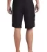 District DT1020 CLOSEOUT  Young Mens Boardshort Black back view