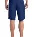 District DT1020 CLOSEOUT  Young Mens Boardshort Navy back view