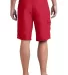 District DT1020 CLOSEOUT  Young Mens Boardshort Red back view