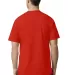 Gildan 2000T Tall 6.1 oz. Ultra Cotton T-Shirt in Red back view