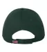 Bayside BA3660 Chino Twill Structured Cap Forest Green back view