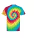 Dyenomite 200TI Tide Short Sleeve T-Shirt in Rainbow tide back view