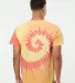 Dyenomite 200TI Tide Short Sleeve T-Shirt in Snap dragon back view