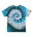 Dyenomite 20BTI Youth Tide Tie Dye T-Shirt in Adirondack front view
