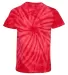 Dyenomite 20BCY Youth Cyclone Vat-Dyed Pinwheel Sh in Red back view