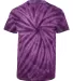 Dyenomite 20BCY Youth Cyclone Vat-Dyed Pinwheel Sh in Purple back view