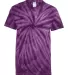 Dyenomite 20BCY Youth Cyclone Vat-Dyed Pinwheel Sh in Purple front view