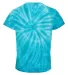 Dyenomite 20BCY Youth Cyclone Vat-Dyed Pinwheel Sh in Turquoise back view