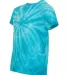 Dyenomite 20BCY Youth Cyclone Vat-Dyed Pinwheel Sh in Turquoise side view