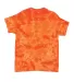Dyenomite 200CR Crystal Tie Dyed T-Shirts in Orange back view