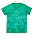 Dyenomite 200CR Crystal Tie Dyed T-Shirts in Emerald back view