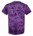 Dyenomite 200CR Crystal Tie Dyed T-Shirts in Purple back view