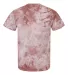Dyenomite 20BCR Youth Crystal Tie Dye T-Shirt in Copper back view