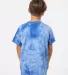 Dyenomite 20BCR Youth Crystal Tie Dye T-Shirt in Royal back view